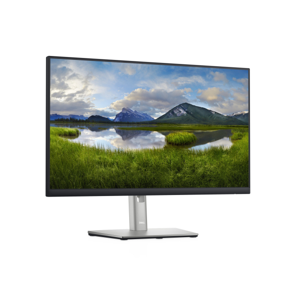 DELL P Series 24 monitor - P2422H - Afbeelding 3