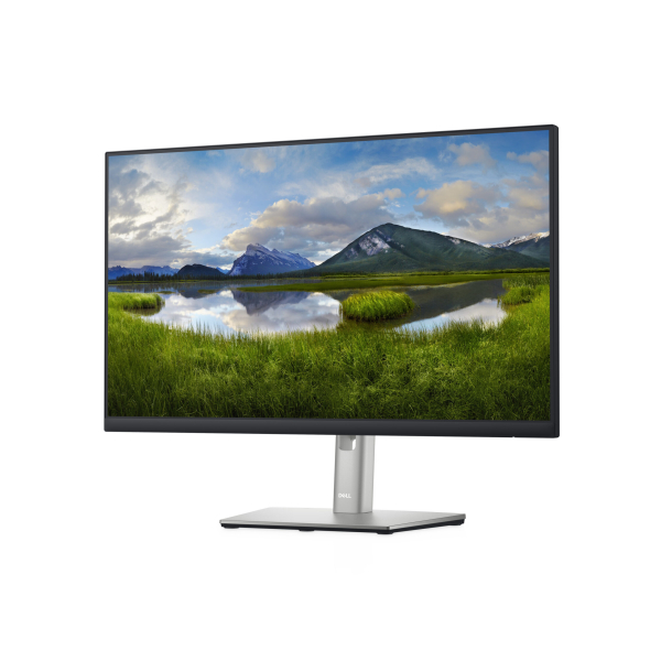 DELL P Series 24 monitor - P2422H - Afbeelding 2