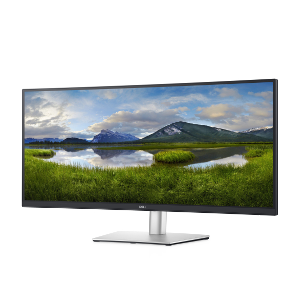 DELL P Series 34-inch gebogen USB-C-monitor - P3421W - Afbeelding 15