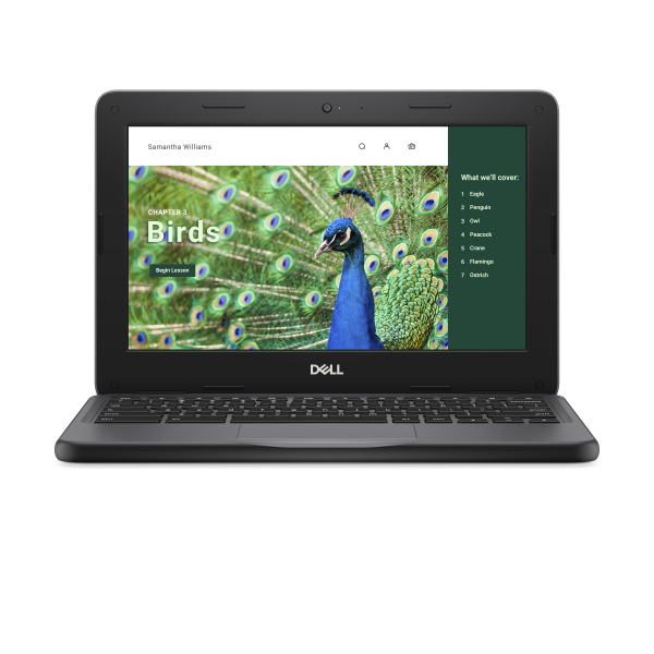 DELL Chromebook 3120 Intel® N N100 29,5 cm (11.6") HD 4 GB LPDDR5-SDRAM 64 GB eMMC Wi-Fi 6 (802.11ax) ChromeOS  Zwart