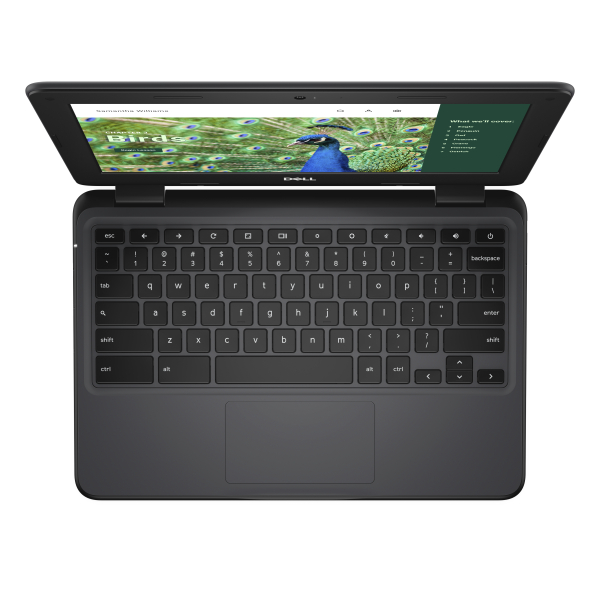 DELL Chromebook 3120 Intel® N N100 29,5 cm (11.6") HD 4 GB LPDDR5-SDRAM 64 GB eMMC Wi-Fi 6 (802.11ax) ChromeOS  Zwart - Afbeelding 5