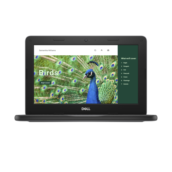DELL Chromebook 3120 Intel® N N100 29,5 cm (11.6") HD 4 GB LPDDR5-SDRAM 64 GB eMMC Wi-Fi 6 (802.11ax) ChromeOS  Zwart - Afbeelding 2