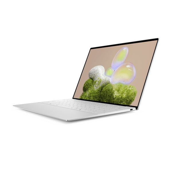 DELL XPS 13 9350 Intel Core Ultra 7 258V Laptop 34 cm (13.4") Touchscreen 3K 32 GB LPDDR5x-SDRAM 1 TB SSD Wi-Fi 7 (802.11be) Windows 11 Pro  Platina - Afbeelding 3