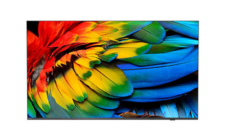 Philips 65HFL6214U/12 tv 165,1 cm (65") 4K Ultra HD Wifi Antraciet 400 cd/m² afbeelding