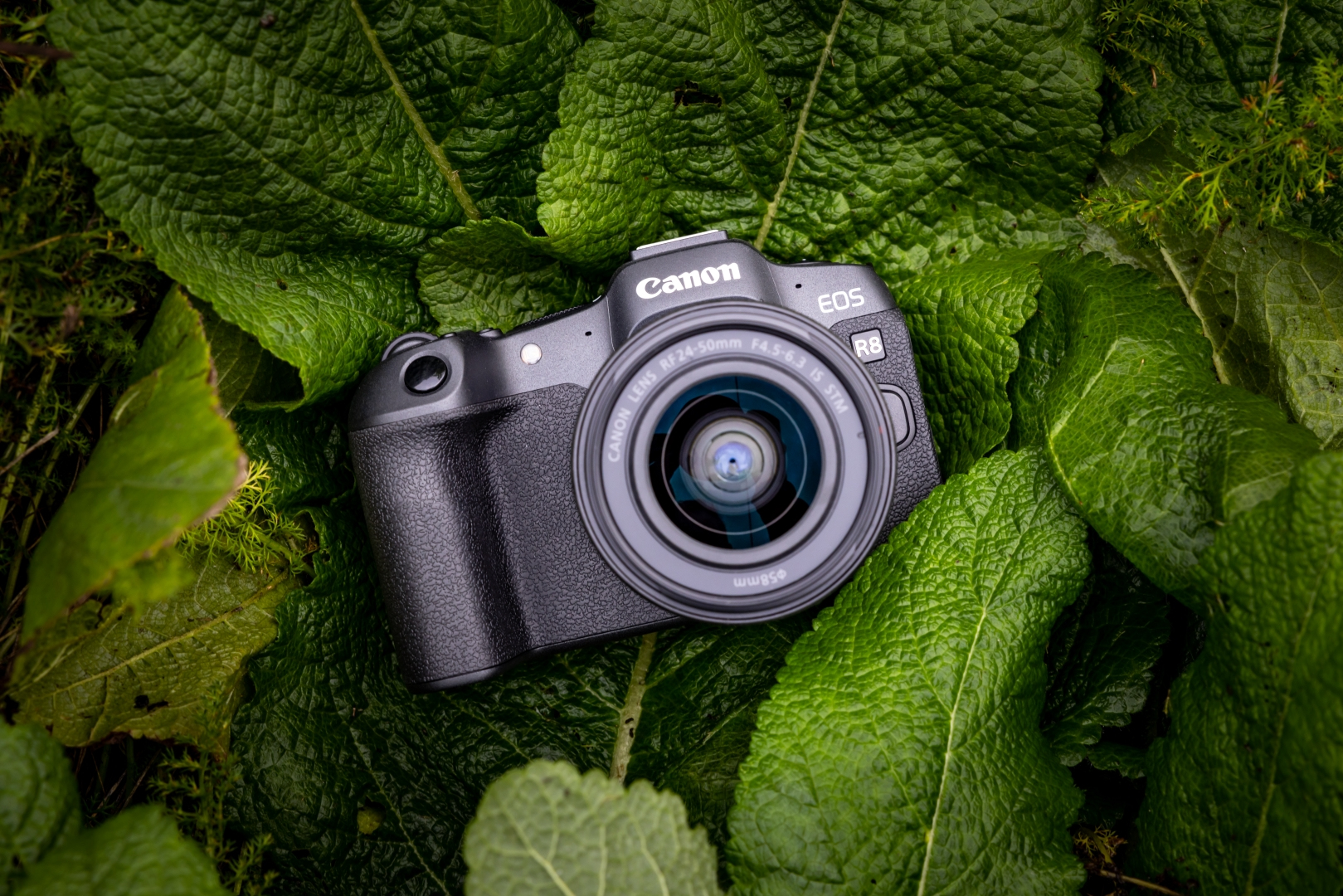 Canon EOS R8 + RF 24-50mm F4.5-6.3 IS STM Kit MILC 24,2 MP CMOS 6000 x 4000 Pixels Zwart - Afbeelding 10