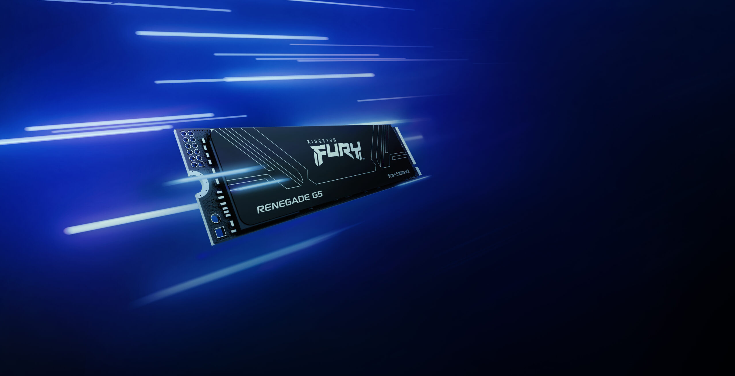 Kingston Technology 1T FURY RENEGADE G5 M.2 2280 NVMe SSD - Afbeelding 11