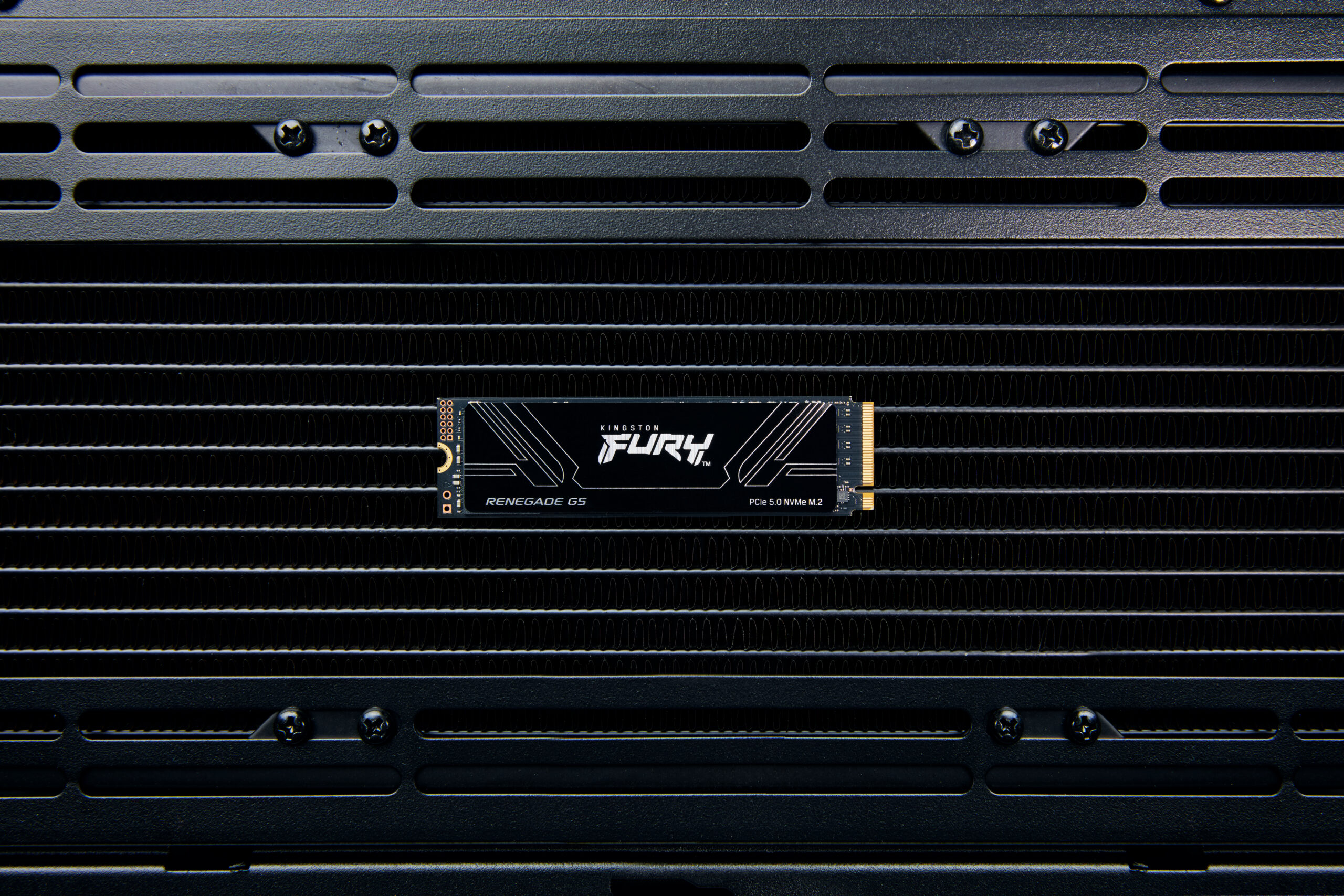 Kingston Technology 1T FURY RENEGADE G5 M.2 2280 NVMe SSD - Afbeelding 7